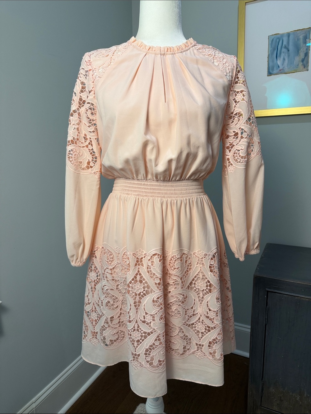 Shoshanna Light Pink Long-Sleeve Smocked Waist Dress. NWOT. Size 6.